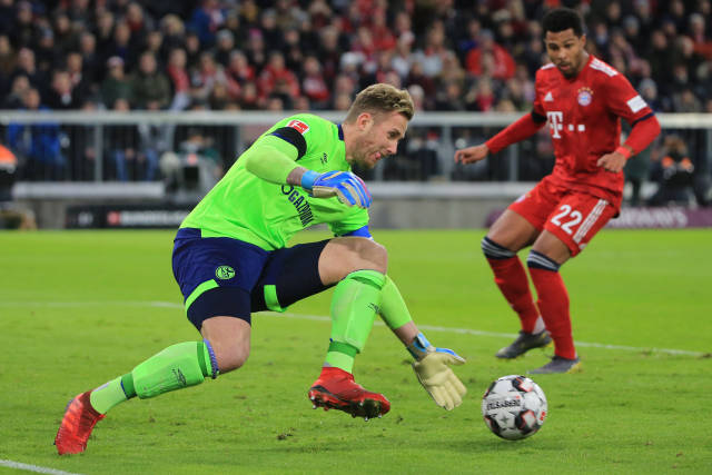 的专业水准 的专业水准